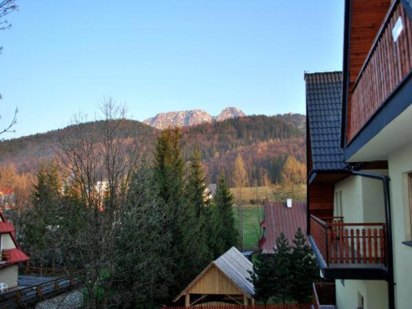 Apartament Domino - Krzeptowki 06 Zakopane Exterior foto